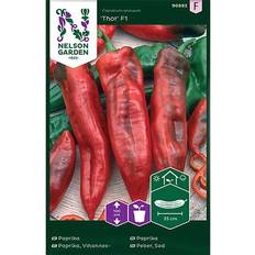 Nelson Garden Fröer Nelson Garden Paprika 'Thor' F1
