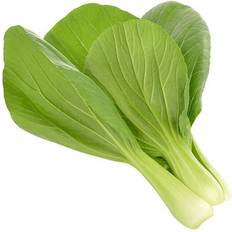 Click and Grow Pak Choi - Sg-031 Blomsterfrø