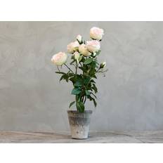 Fleur Rose keramik