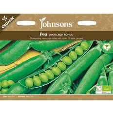 Johnsons Home Grown Organic Vegetable Pea Maincrop Rondo Seeds