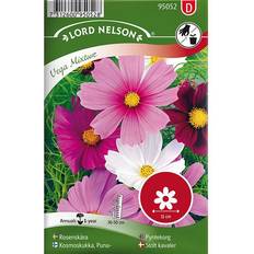 Nelson Garden Blomsterfröer Nelson Garden Rosenskära Vega Mixture