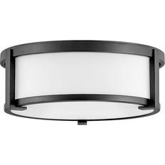 Glass Ceiling Flush Lights Hinkley 3241 Lowell 2 Mount Fixtures Mount Ceiling Flush Light