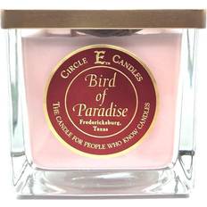 Circle E Candles Bird of Paradise Scented Candle 43oz