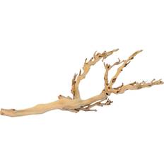 Forest Branch Medium