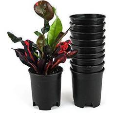 10 gallon plant pot 4 Inch Nursery Pot Flower Pots 10-Pack Plant