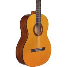 Cordoba Acoustic Guitars Cordoba Protege C1M Nylon String Acoustic Guitar