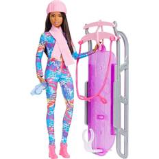 Barbie Poupées et Maisons de Poupée vente Barbie Brunette with sleigh