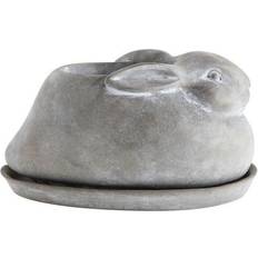 Pots 3R Studios Cement Rabbit Planter & Saucer Set 2