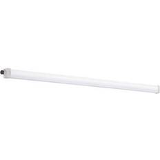 Illuminazioni per panca TP Slim Lampada Impermeabile 40 W Bianco Neutro Illuminazione per panca