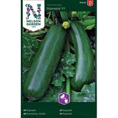 Nelson Garden Cucurbita pepo Diamant F1