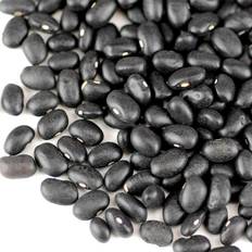 Organic Beans & Lentils Organic Black Turtle Beans Spanish Bean - Sprouting Seed