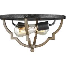 Ceiling Flush Lights Generation Lighting 7524902 Socorro Ceiling Flush Light