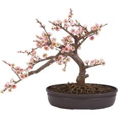 Pink Decorative Items Nearly Natural Cherry Blossom Bonsai Silk Artificial Plant