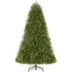 Transparent Christmas Trees National Tree Company ft Dunhill Fir Incandescent Christmas Tree