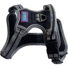 Dog & Co Sports Harness, Padded and Reflective, Black Medium