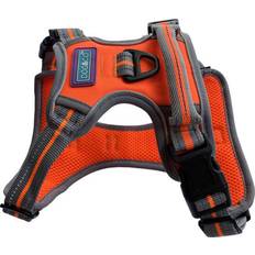 Dog & Co Sports Harness, Padded and Reflective, Orange Large