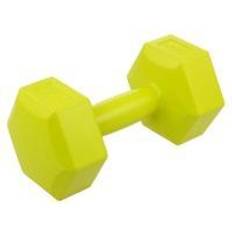 Vinyl Dumbbell 2 Kg