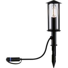 Plug & Shine Mini