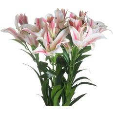 Hill Interiors Stargazer Lily