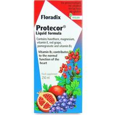 Floradix Vitaminas y Suplementos Floradix Protecor Liquid Formula 250Ml