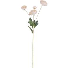 Blanc Plantes Artificielles Hill Interiors Cream Single Stem Ranunculus Artificial Plant