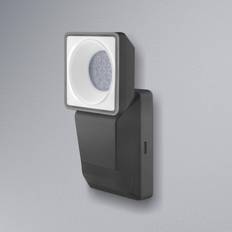 LEDVANCE projektør Endura Spotlight