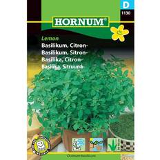 Hornum Blomsterfrø Hornum Basilikum Frø, Lemon Citronbasilikum Blomsterfrø