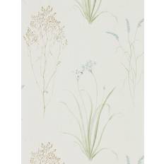 Farne Grasses Wallpaper 216486 in Cream Sage Green