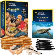 Play Set NATIONAL GEOGRAPHIC Ocean Animal Dig Kit – 12 Seashell Shaped Dig Bricks with Sea Creature Figure Inside, Party Activity with 12 Excavation Sets, Stem Toy For Boys & Girls Or Fun Party Favors