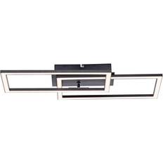 Paul Neuhaus Metal Pendler Paul Neuhaus Plafondlamp zwart Pendel