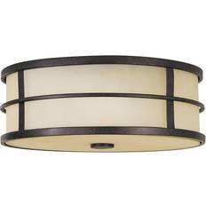 Bronze Lighting FEISS Fusion ceiling Wall light