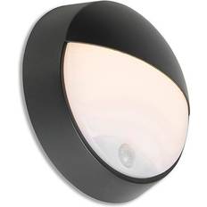 QAZQA Wall Lamps QAZQA Exterior Wall light