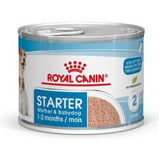 Royal canin mother & babydog Royal Canin 48x195g Starter Mousse Mother & Babydog Royal Canin hundefoder