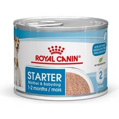 Royal canin mother & babydog Royal Canin Starter Mousse Mother & Babydog Umido Per Cane - Set % 48 x 195 g