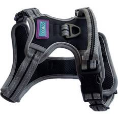 Dog & Co. Dog & Co Sports Harness, Padded and Reflective, Black Small