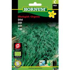 Dild Hornum ØKO, Dild C Grøntsagsfrø