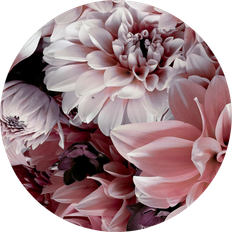 Pink Billeder Malerifabrikken - Opulent Billede