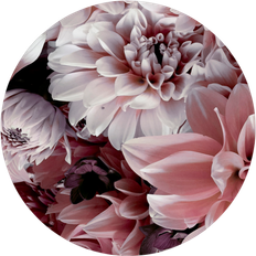 Pink Billeder Malerifabrikken Opulent 8 Billede