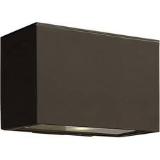 Lighting Hinkley 1646-LL Atlantis 1 Wall Light