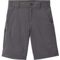 Escursionismo Pantaloni Columbia Ridge Iv Hiking Short - City Grey (1887381-257)