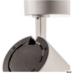 SLV Numinos Dali Spotlight