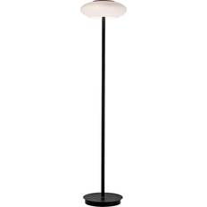 Paul Neuhaus Floor Lamps & Ground Lighting Paul Neuhaus Q-ETIENNE Floor Lamp