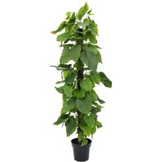 Noir Plantes Artificielles Europalms Plant De Pothos D' Artificiel 180 cm Plante Artificielle