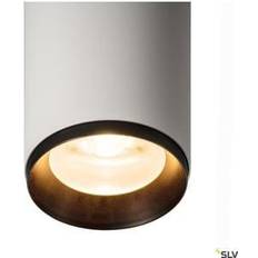 SLV NUMINOS DALI Spotlight