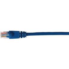Cat 5 cable RCA 25 Ft. CAT-5 Blue Cable TPH532BR