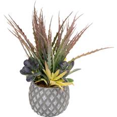 Macetas, Plantas y Cultivo Geko Succulents Lattice Design Grey Pot