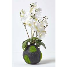 Homescapes White Phalaenopsis Orchid with Natural Base Artificial Plant