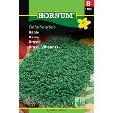 Karsefrø Hornum Karsefrø, Einfache grüne Almindelig Blomsterfrø