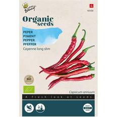 Økologisk, Chilifrø, Cayenne long slim Grøntsagsfrø