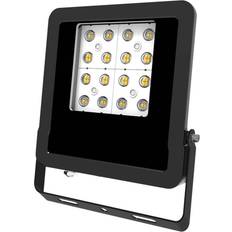 E Projecteurs EVN Panthera Spot D’Extérieur LED IP65 30W 4000K Transparent Projecteur